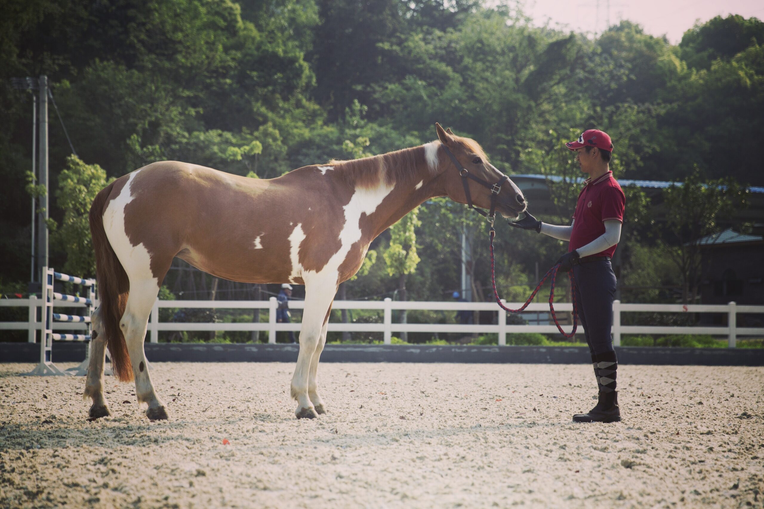 China best saddlery
